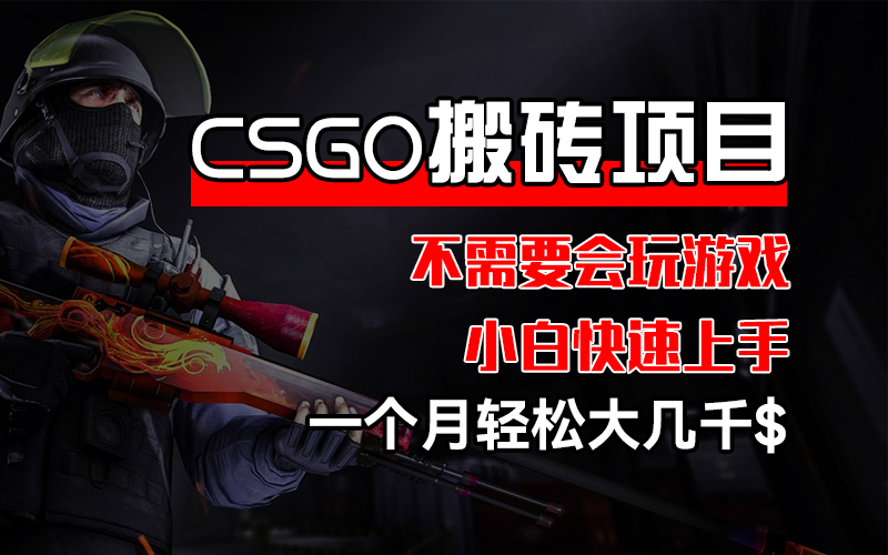 （12332期）CSGO 装备搬砖项目，操作简单，不需要会玩游戏，小白也能快速上手，一…-轻创网