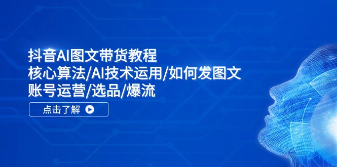 （11958期）抖音AI图文带货教程：核心算法/AI技术运用/如何发图文/账号运营/选品/爆流-轻创网