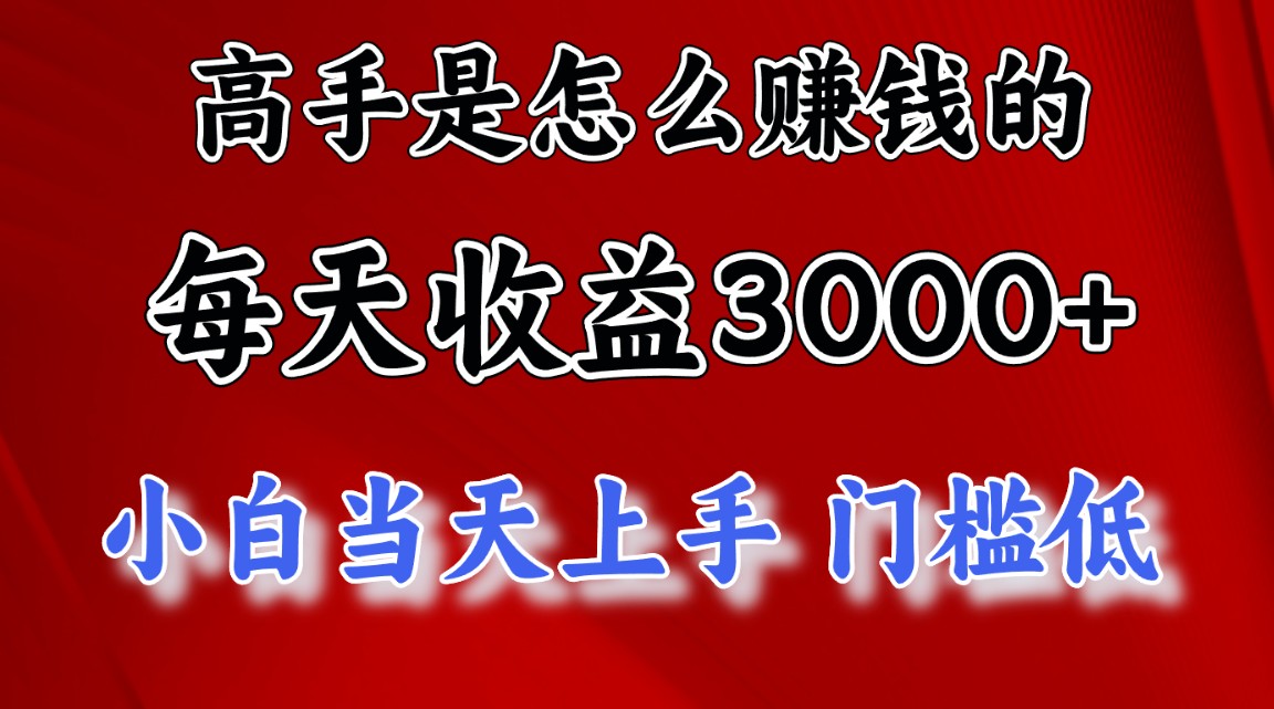 （12144期）1天收益3000+，月收益10万以上，24年8月份爆火项目-轻创网