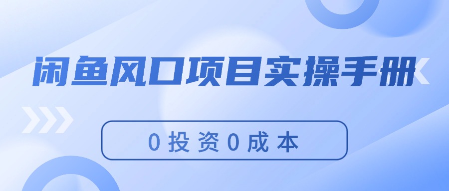 （11923期）闲鱼风口项目实操手册，0投资0成本，让你做到，月入过万，新手可做-轻创网