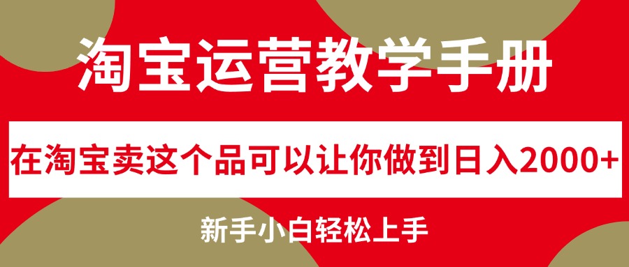 （12351期）淘宝运营教学手册，在淘宝卖这个品可以让你做到日入2000+，新手小白轻…-轻创网