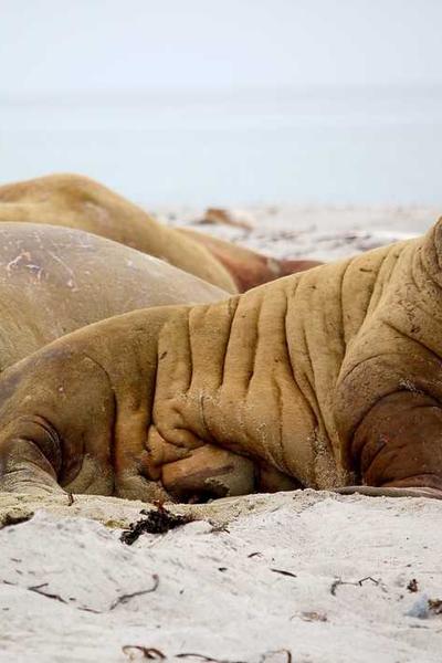 测试商品001-轻创网